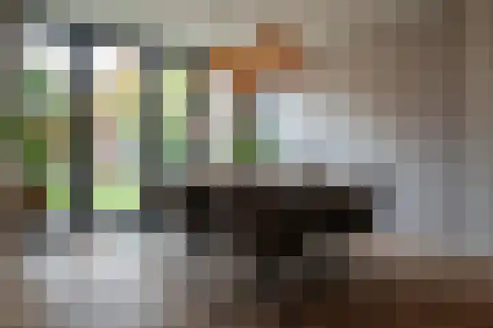 Gentiaanweg 8 Haren Gn thumbnail 5