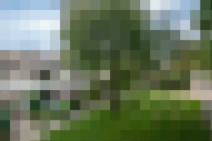 Gentiaanweg 8 Haren Gn thumbnail 6
