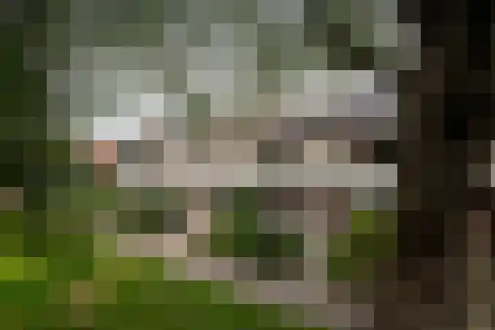 Gentiaanweg 8 Haren Gn thumbnail 7