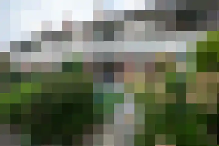 Gentiaanweg 8 Haren Gn thumbnail 8