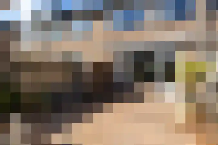 Gentiaanweide 12 Woerden thumbnail 16