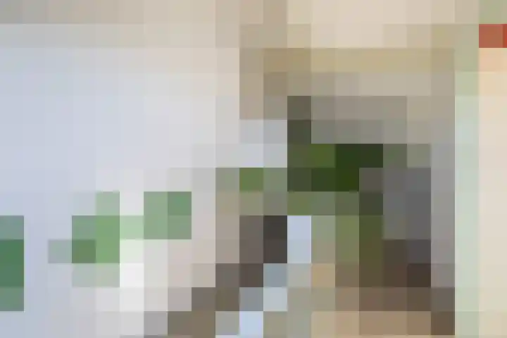 Gentiaanweide 12 Woerden thumbnail 27