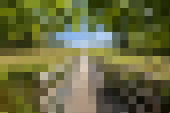 Gentiaanweide 12 Woerden thumbnail 31