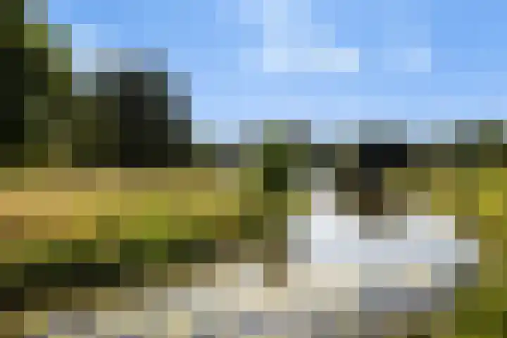 Gentiaanweide 12 Woerden thumbnail 33