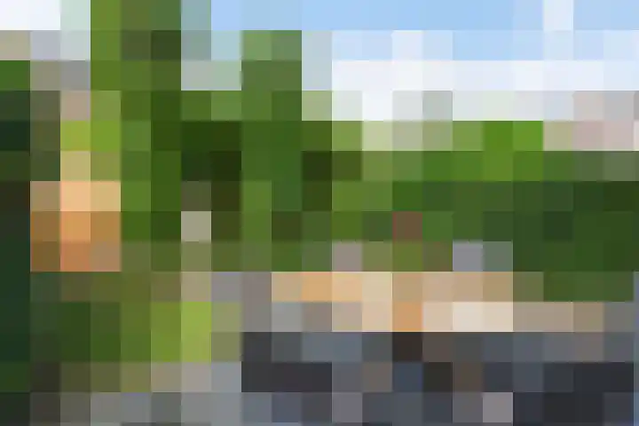 Gentiaanweide 13 Woerden thumbnail 18