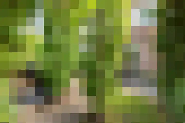 Gentiaanweide 13 Woerden thumbnail 19