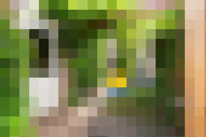 Gentiaanweide 13 Woerden thumbnail 20