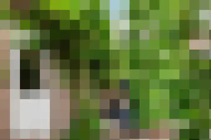 Gentiaanweide 13 Woerden thumbnail 21
