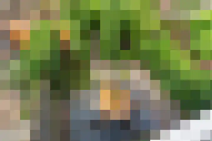 Gentiaanweide 13 Woerden thumbnail 23
