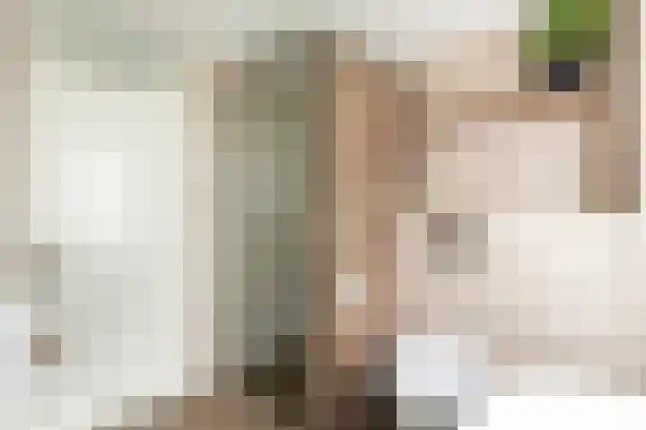 Gentiaanweide 13 Woerden thumbnail 34