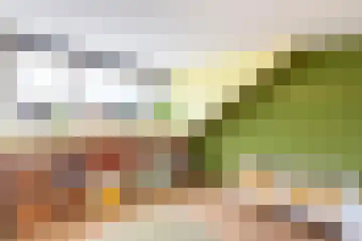 Gentiaanweide 13 Woerden thumbnail 38