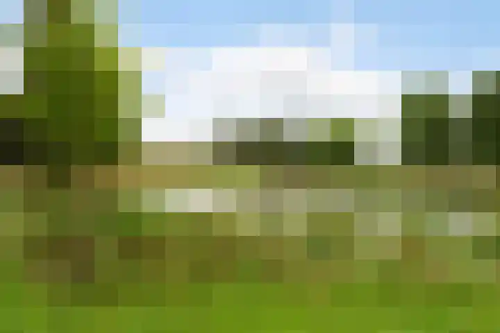 Gentiaanweide 13 Woerden thumbnail 45