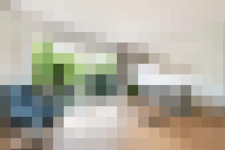 Gentiaanweide 13 Woerden thumbnail 7