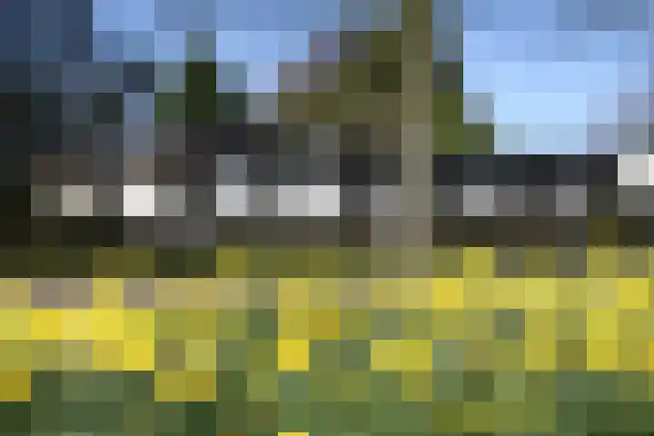 Gentianenlaan 17 Oostvoorne