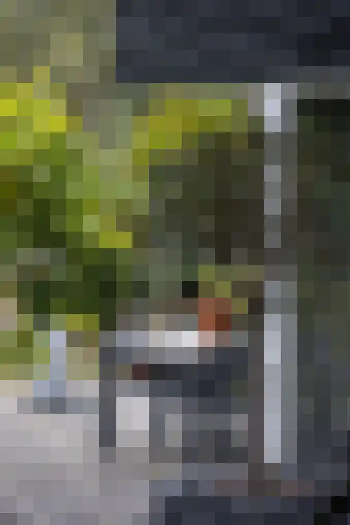 Gentianenlaan 17 Oostvoorne thumbnail 11