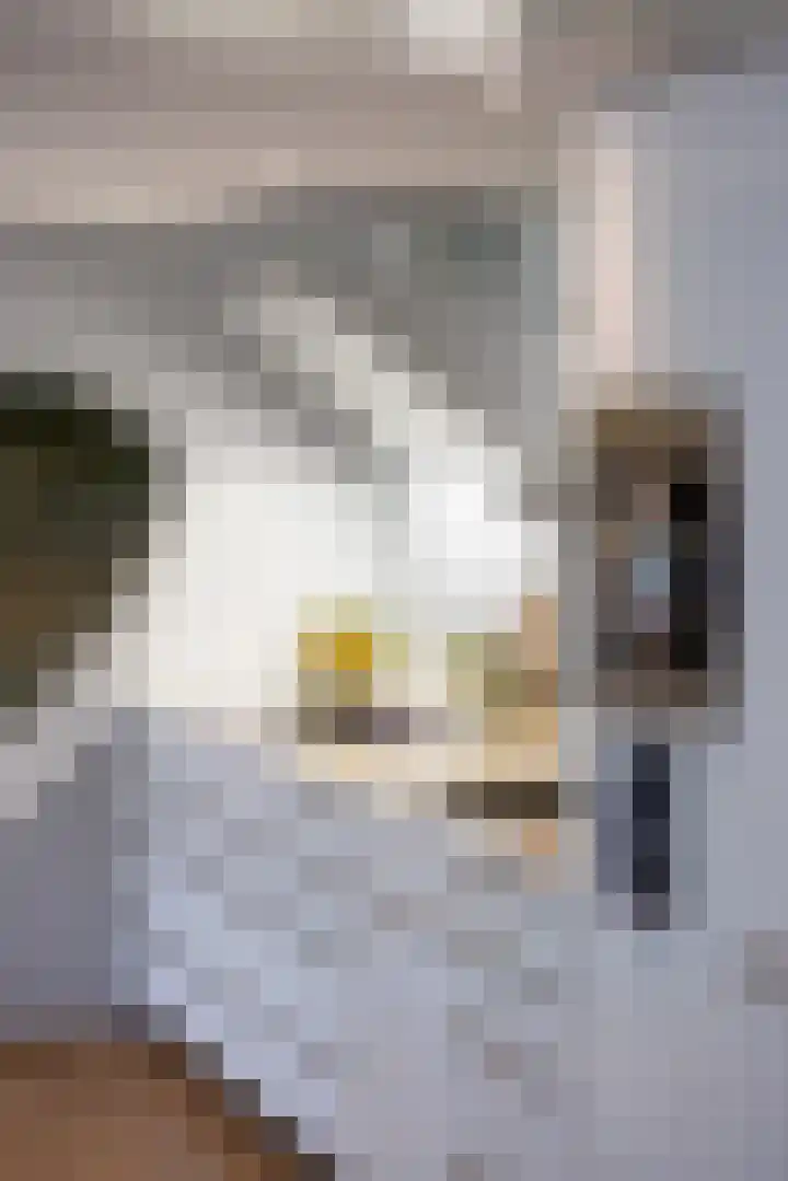 Gentianenlaan 17 Oostvoorne thumbnail 13