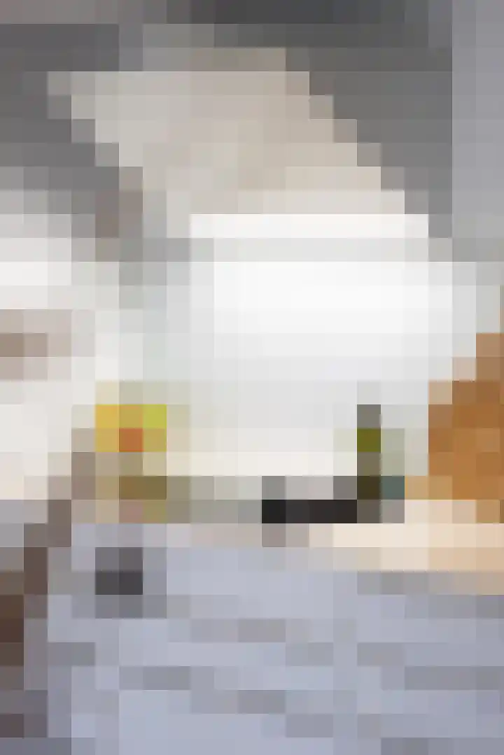 Gentianenlaan 17 Oostvoorne thumbnail 14