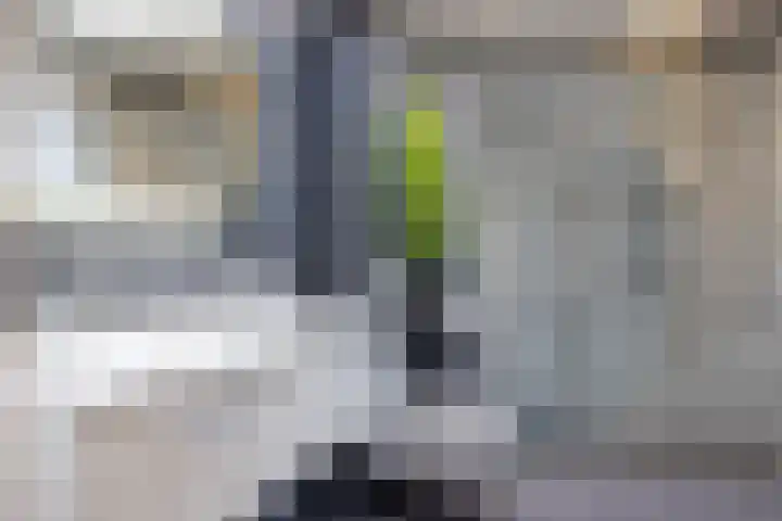 Gentianenlaan 17 Oostvoorne thumbnail 28