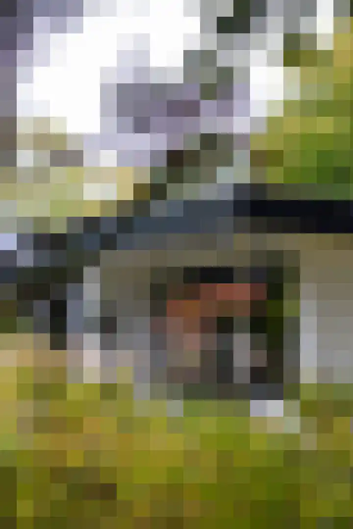 Gentianenlaan 17 Oostvoorne thumbnail 38