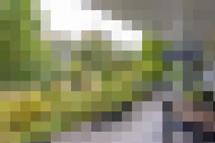 Gentianenlaan 17 Oostvoorne thumbnail 39