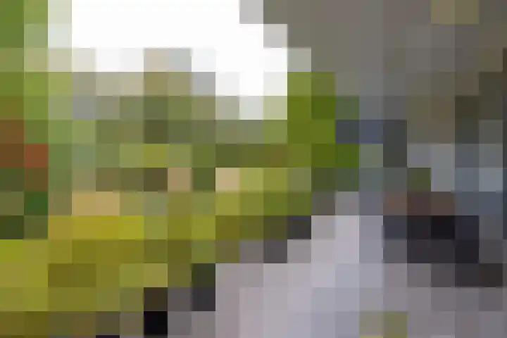 Gentianenlaan 17 Oostvoorne thumbnail 4