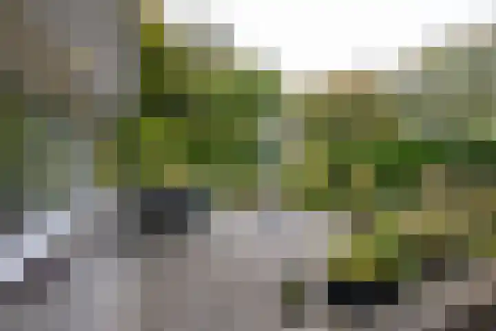 Gentianenlaan 17 Oostvoorne thumbnail 40