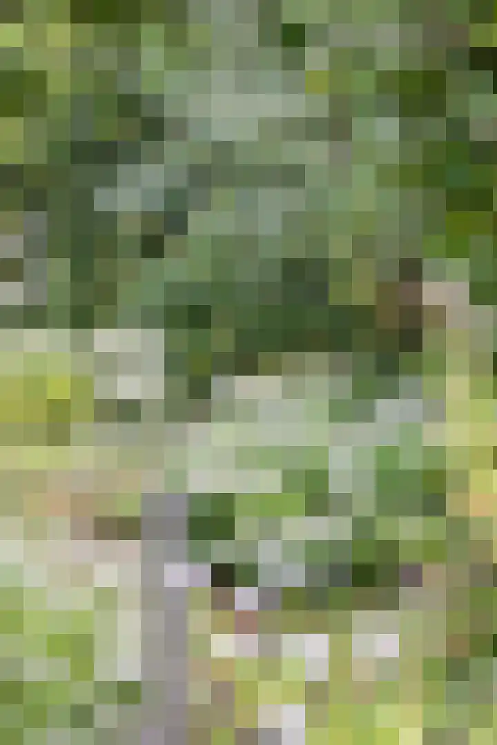 Gentianenlaan 17 Oostvoorne thumbnail 41