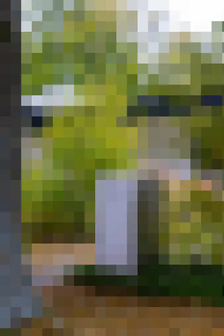 Gentianenlaan 17 Oostvoorne thumbnail 43