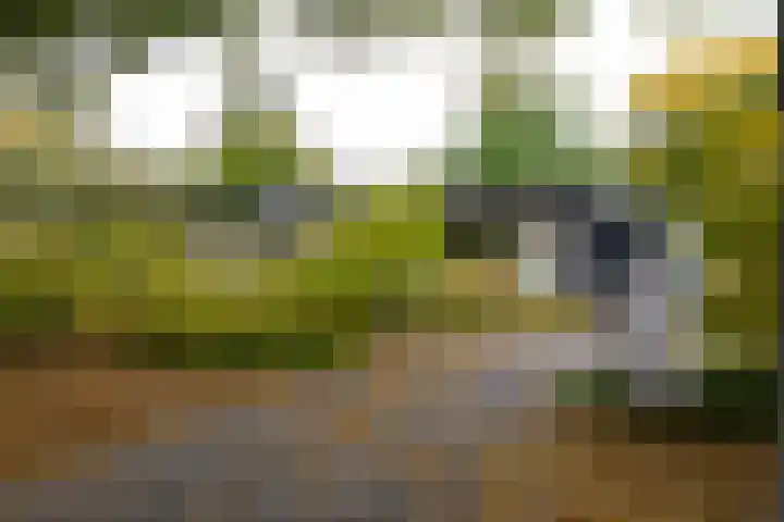 Gentianenlaan 17 Oostvoorne thumbnail 44