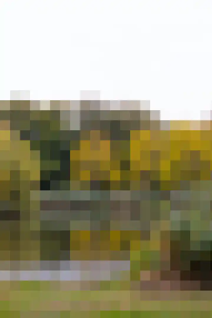 Gentianenlaan 17 Oostvoorne thumbnail 46