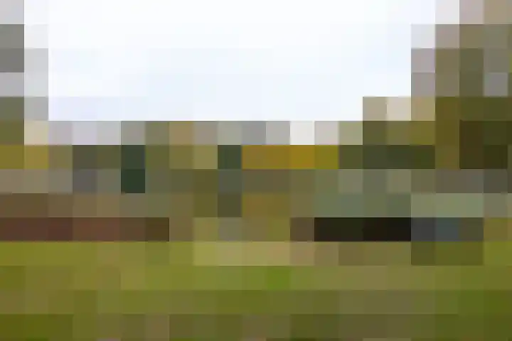 Gentianenlaan 17 Oostvoorne thumbnail 47