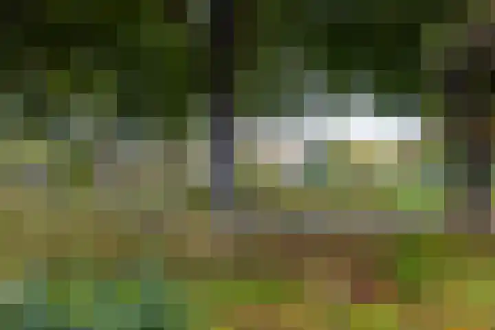 Gentianenlaan 17 Oostvoorne thumbnail 48