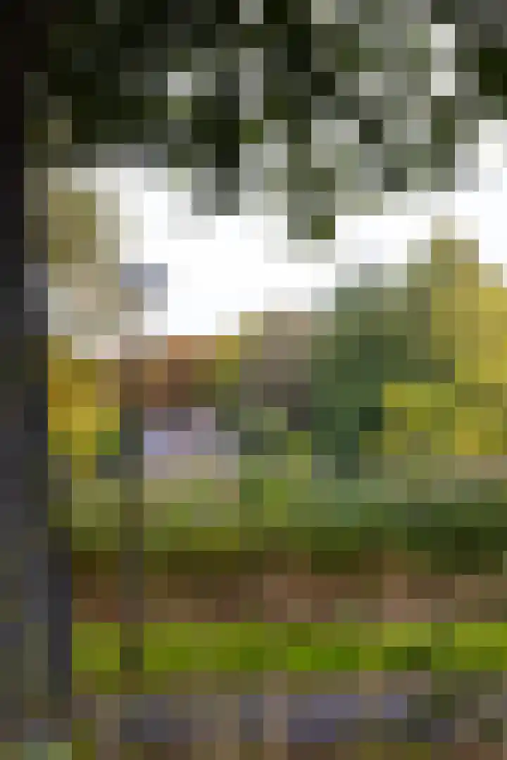 Gentianenlaan 17 Oostvoorne thumbnail 49