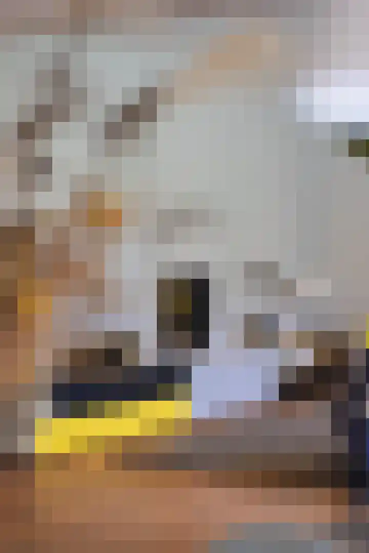 Gentianenlaan 17 Oostvoorne thumbnail 6