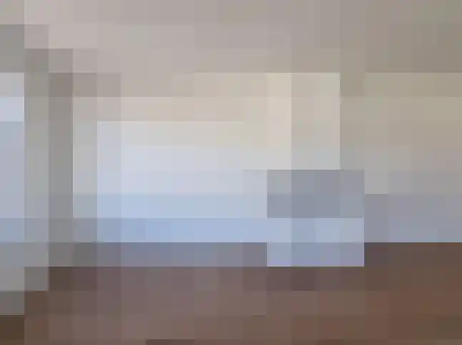 Gentse Poort 1 Hulst thumbnail 4