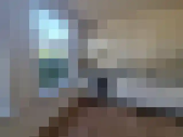 Gentse Poort 1 Hulst thumbnail 7