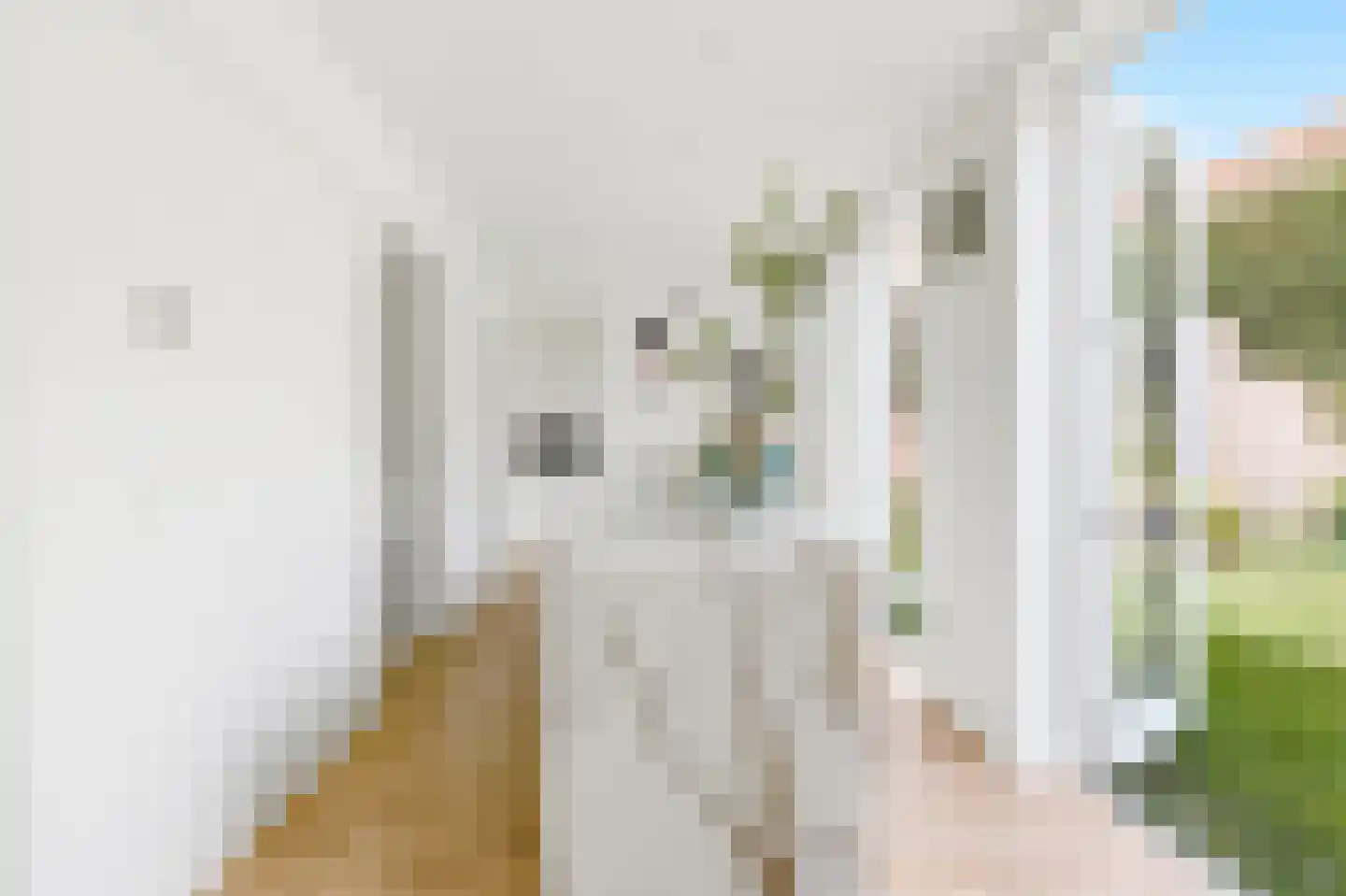 Gentse Poort 3 Hulst thumbnail 12