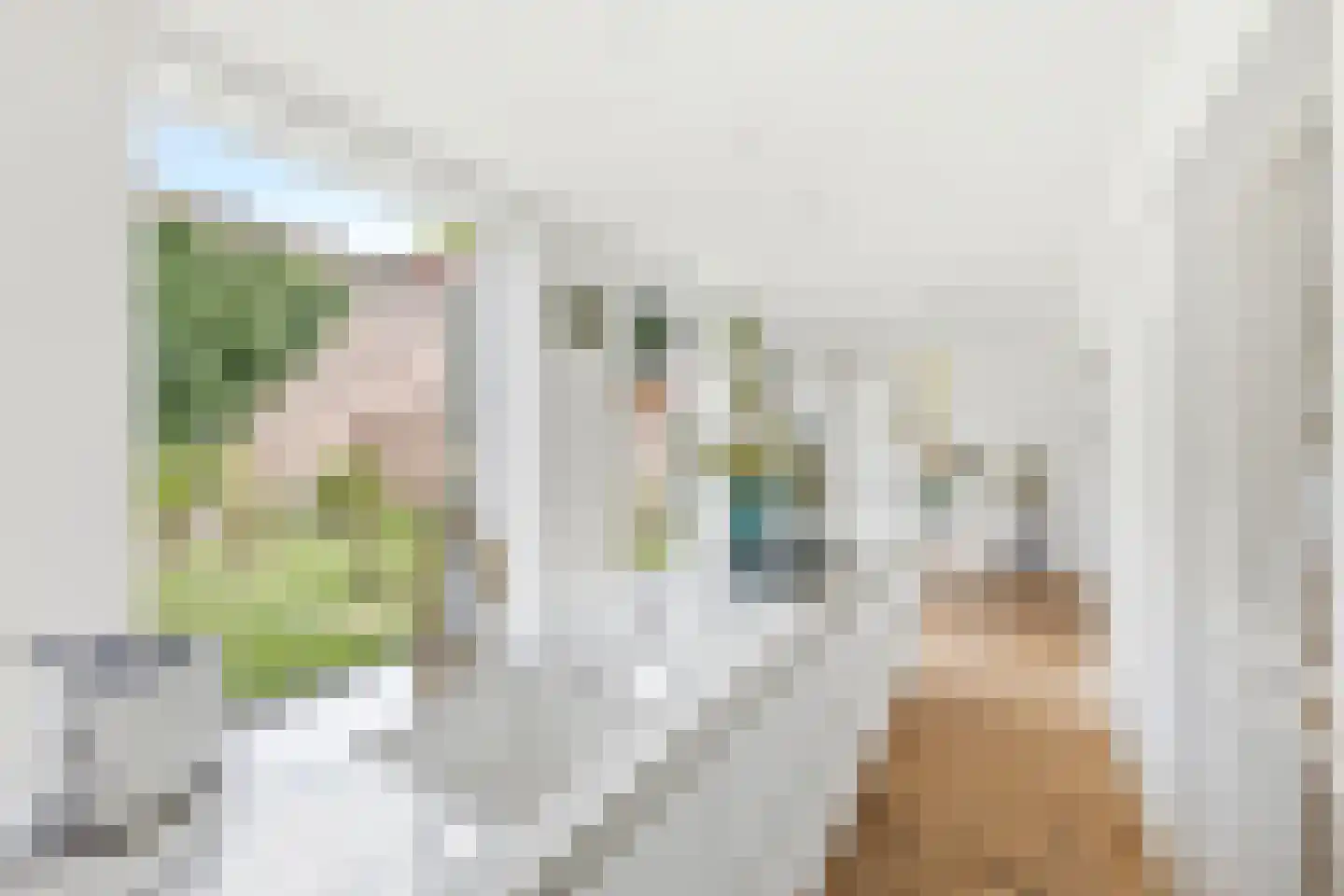 Gentse Poort 3 Hulst thumbnail 15