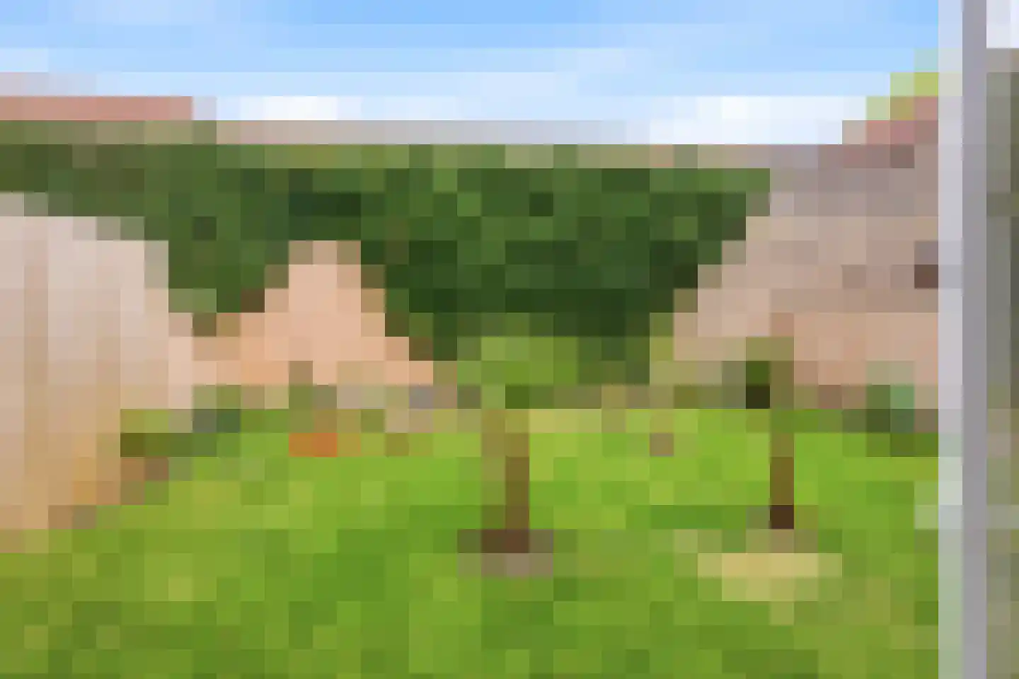 Gentse Poort 3 Hulst thumbnail 16