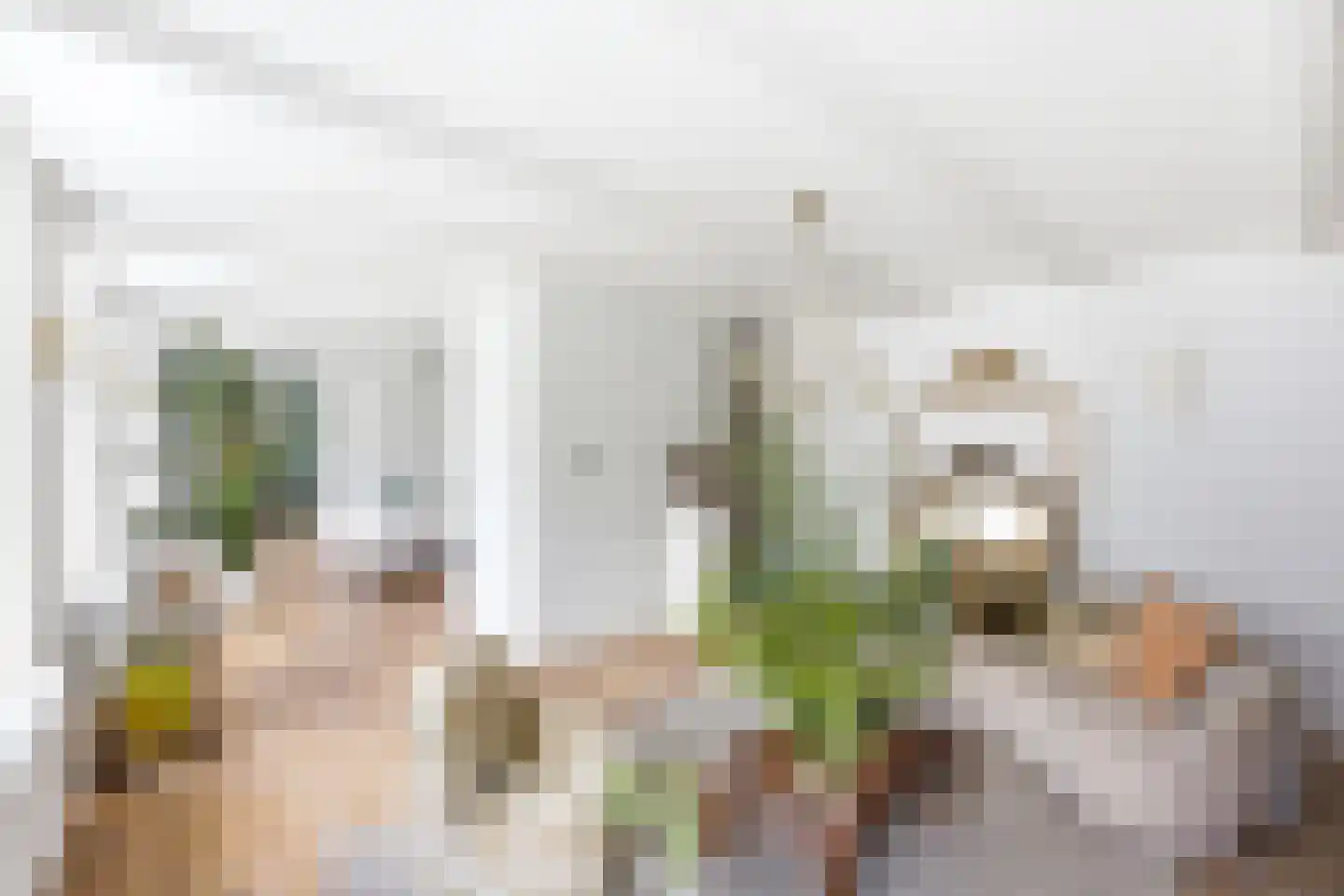 Gentse Poort 3 Hulst thumbnail 26