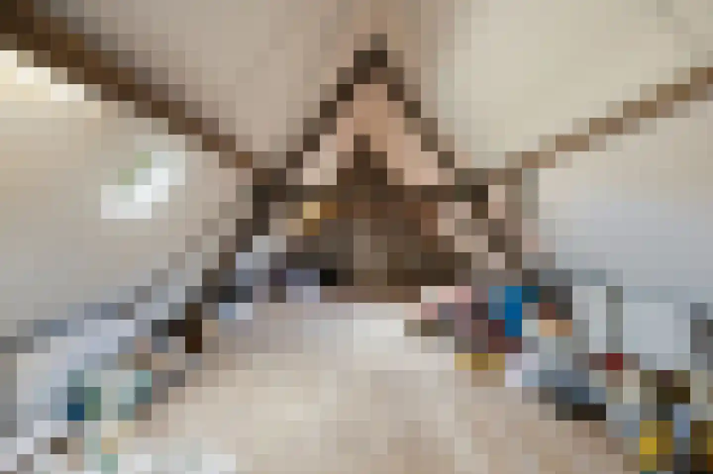 Gentse Poort 3 Hulst thumbnail 36