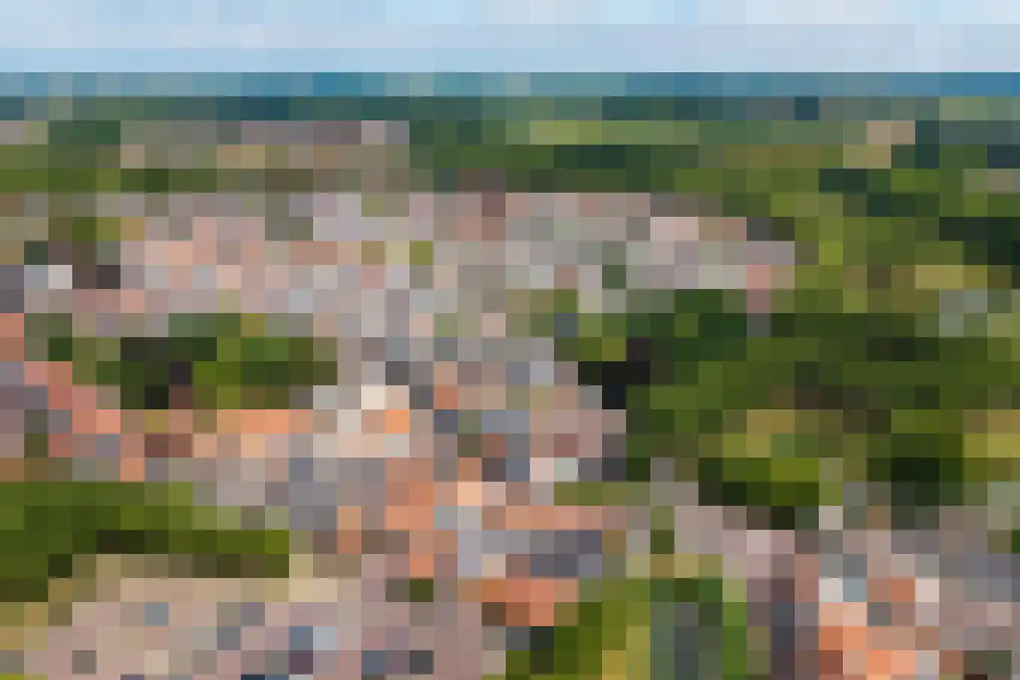 Gentse Poort 3 Hulst thumbnail 41