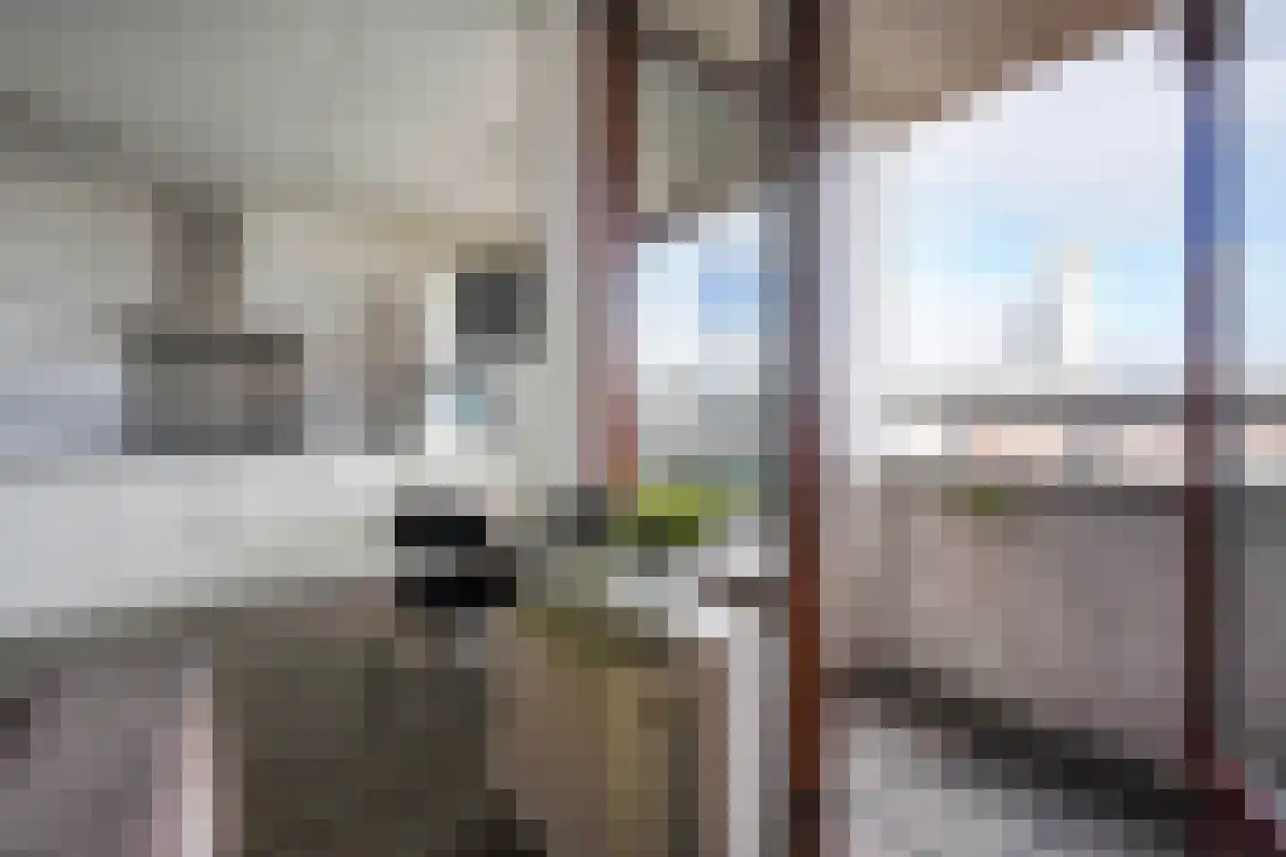 Gentsestraat 1 L Den Haag thumbnail 11