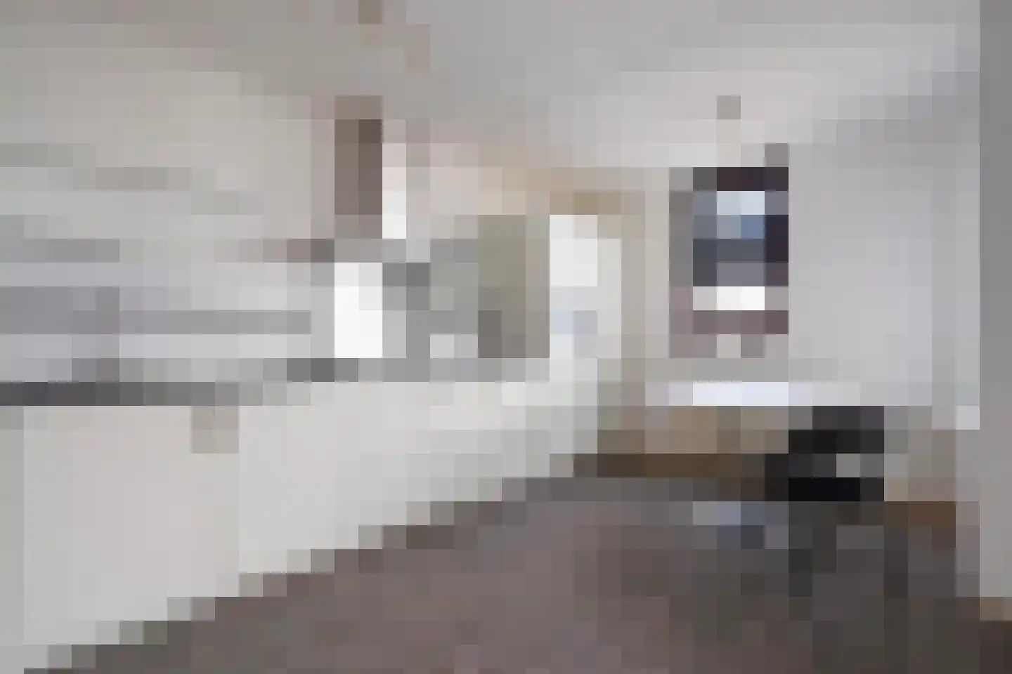 Gentsestraat 1 L Den Haag thumbnail 16