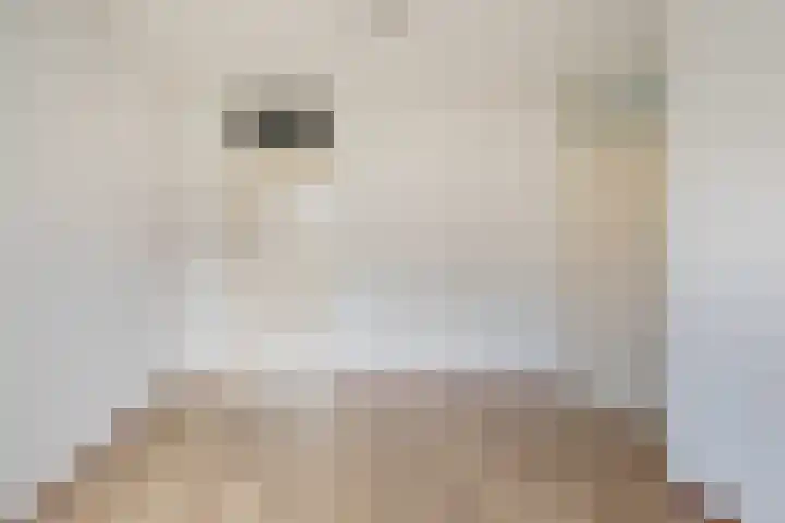 Gentsestraat 1 L Den Haag thumbnail 17
