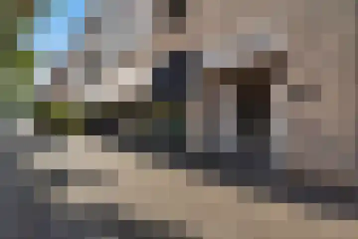 Gentsestraat 1 L Den Haag thumbnail 34