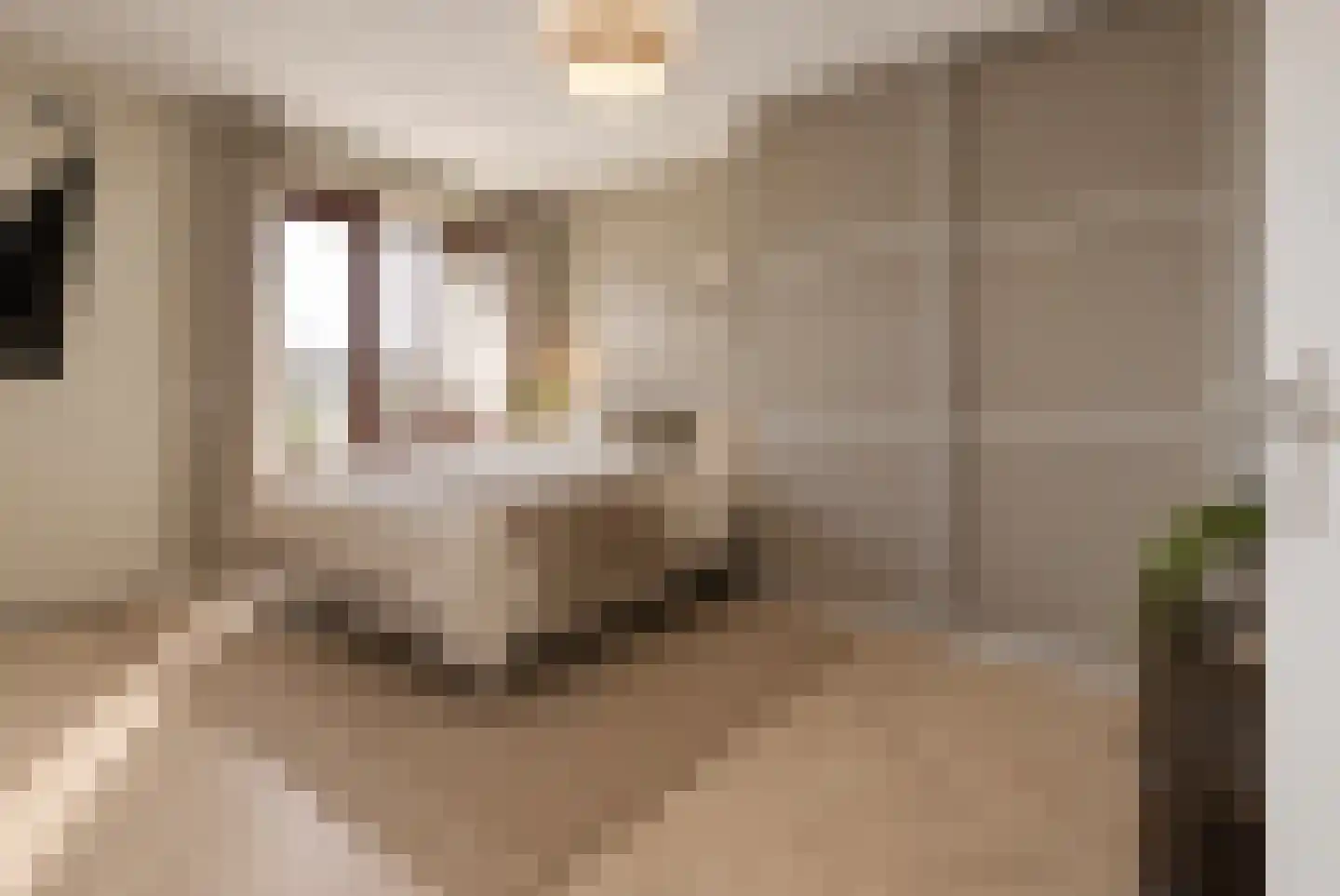 Gentsestraat 1 L Den Haag thumbnail 4