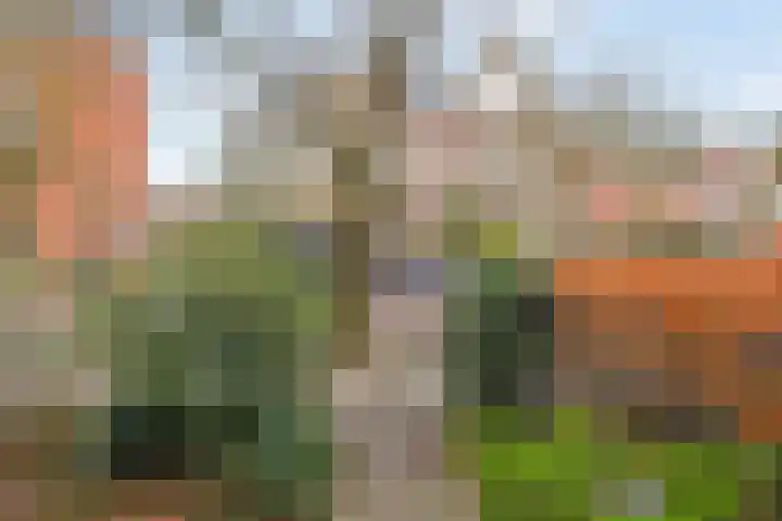 Gentsestraat 117 Den Haag thumbnail 9