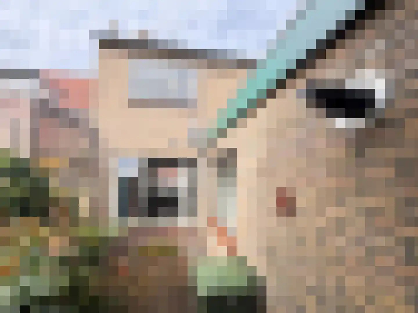 Gentsestraat 3 Biervliet thumbnail 10