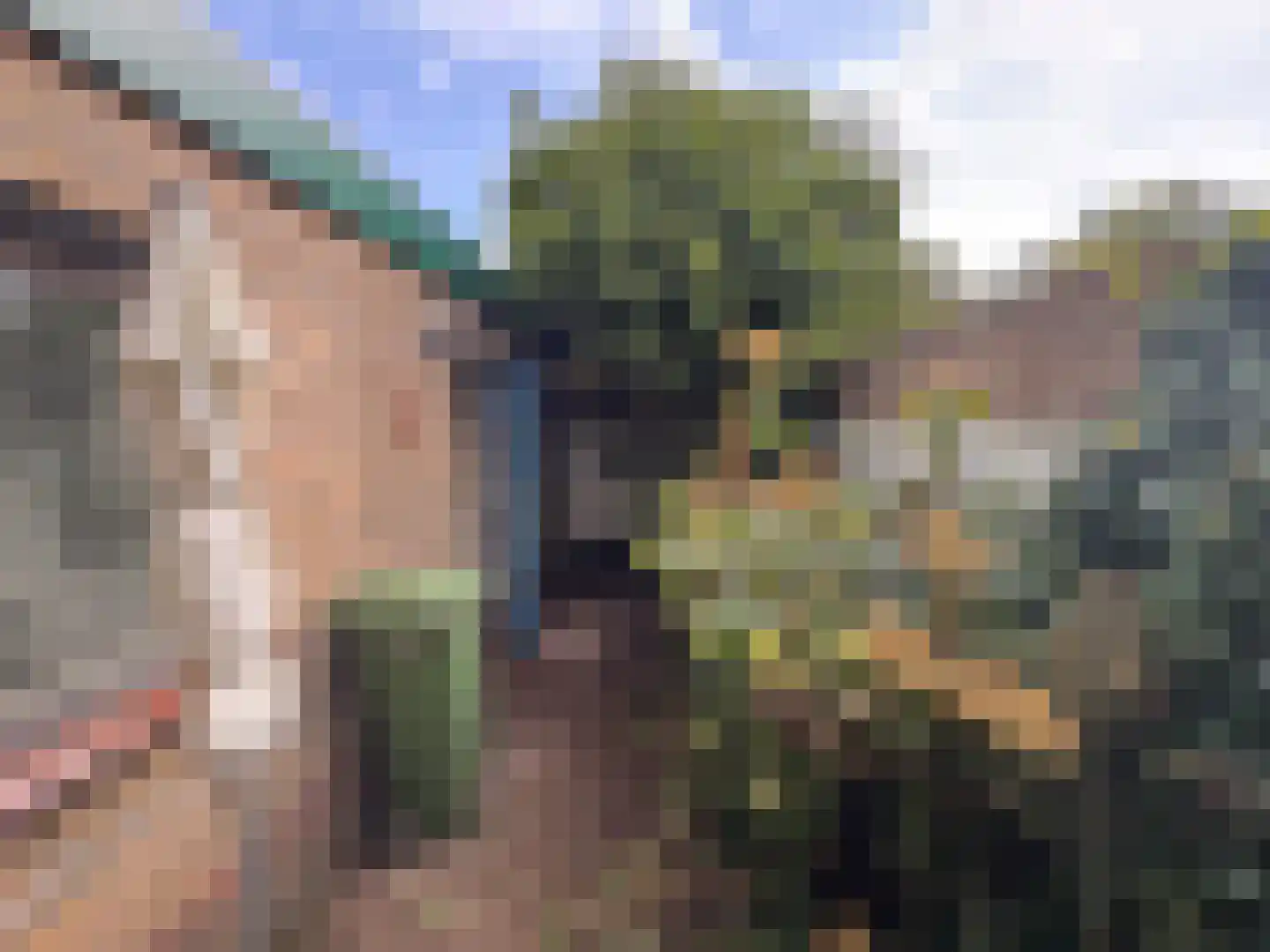 Gentsestraat 3 Biervliet thumbnail 11
